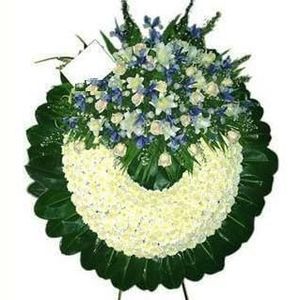 Meet your Posher, Dacia